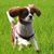 Amy Van Dyke's profile image