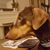 Ruthie Ann Greenlee Ott's profile image