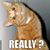 Debbie Ann Gray McDaniel's profile image