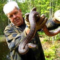Denny A. Dzurinko's profile image