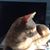Jo Ramirez's profile image