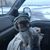 Brian Sheeder's profile image