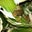 π's profile image