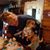 Debra Bennett's profile image