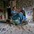 Cecily Rappaport McGuckin's profile image