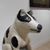 Lori Merriam's profile image