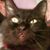 Jeffrey Mills's profile image