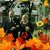 Bonnie Jean Read's profile image