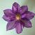 Myrna Ward's profile image