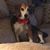 Becki Kohrumel Manley's profile image