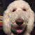 Stacey Stanley's profile image