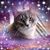 Brenda Minder's profile image