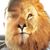 James Mann's profile image