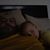 Joe Rehder's profile image