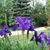 Elizabeth Rhue Kuhns's profile image
