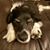 Frankie Jane McDermott's profile image