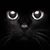 Paige Akers's profile image