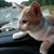 Debbie McEwing Read's profile image