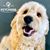 Samantha Marie Neitzke's profile image