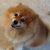 Kayla Cullum's profile image