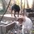 Linda Wiggins's profile image