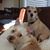 Lynn K. Fleischbein's profile image