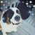 Kerry Mears's profile image