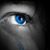 Christi Cloud Schmidt's profile image