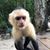 Deborah Ranieri's profile image