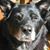 Sharon Casper Gilbert's profile image