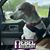 June Julie Dechman's profile image
