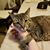 Jackson Winkler's profile image