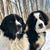 Regina Helfer's profile image