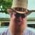 Red Lloyd's profile image
