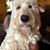 Heidi-Jo Blodgett's profile image