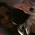 Nicole Mongold's profile image
