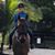 Karen Ramsing-Bixler's profile image