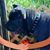 Stormy Correa's profile image