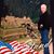 Jack Murphy's profile image