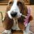 Sherry Jasinski's profile image