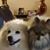 Cheryl Wayne Barnett's profile image