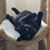 Bea Marin's profile image