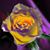 Marcia Wilcox's profile image