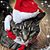 Brittany Mattoon's profile image