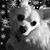 Dawn Poteat's profile image