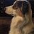 Karen Carr's profile image