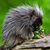 Vicki Smith's profile image