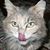Richard Kurman's profile image