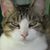 Norma Rogers's profile image
