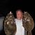 Jim Ponsonby's profile image